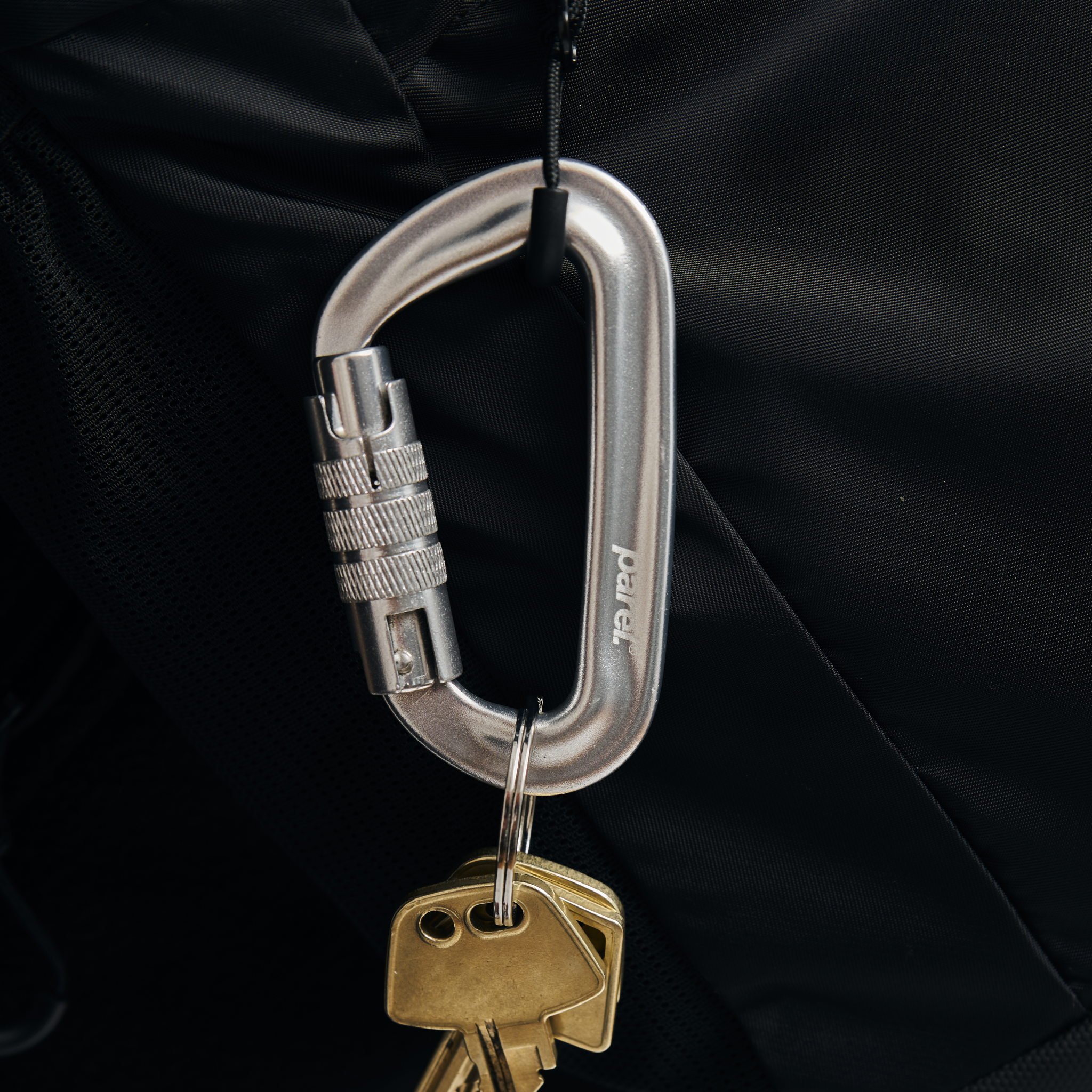 Carabiner - Silver